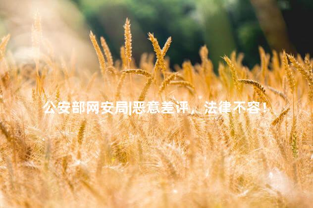 公安部网安局|恶意差评，法律不容！
